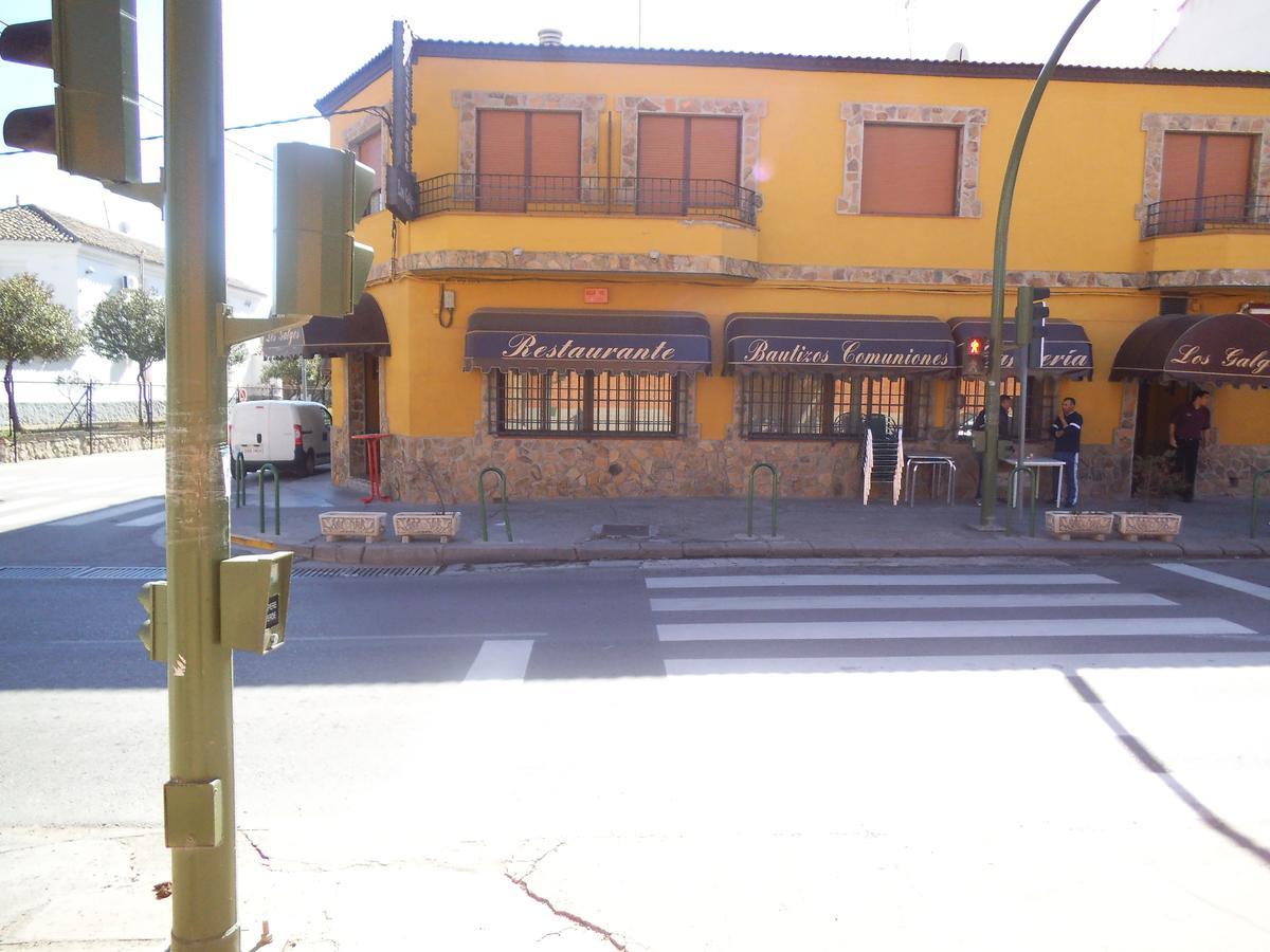 Hostal Los Galgos Yepes ภายนอก รูปภาพ